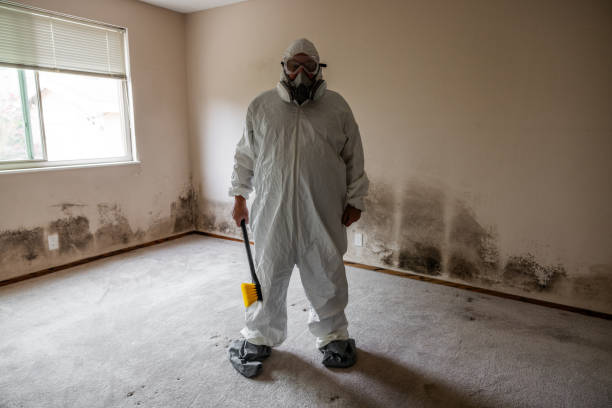 Best Attic Mold Removal  in Nth Plains, OR